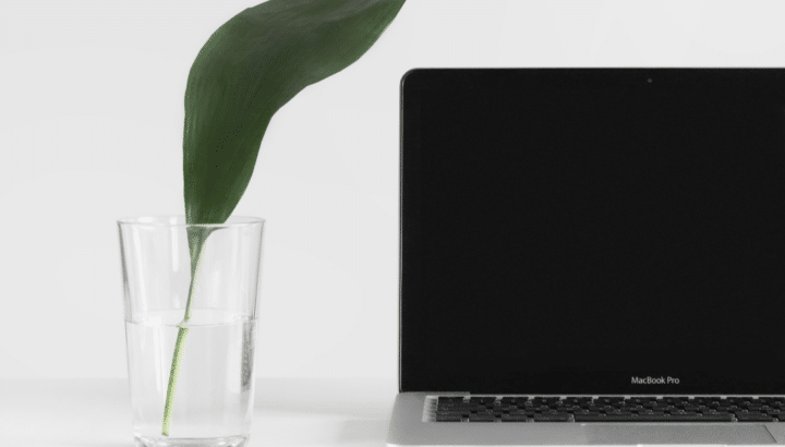 MacBook Pro noir fermé à côté d'une feuille de plante dans un verre d'eau, fond blanc