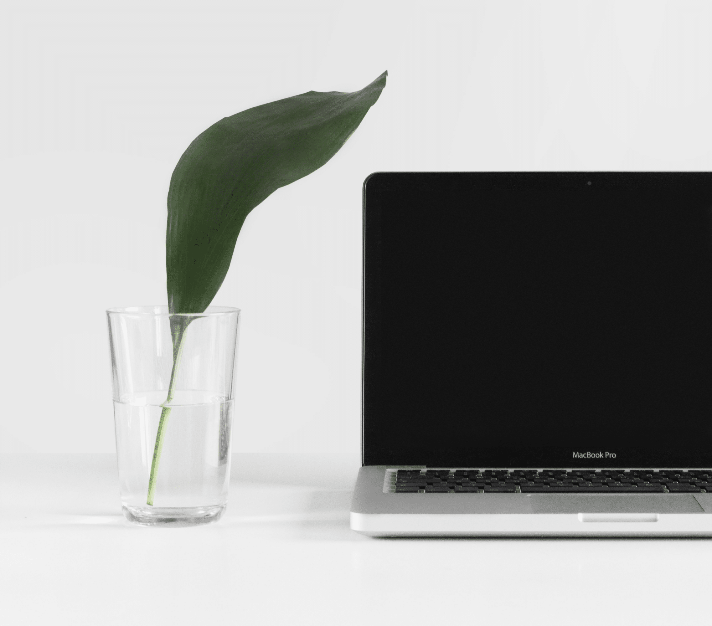 MacBook Pro noir fermé à côté d'une feuille de plante dans un verre d'eau, fond blanc