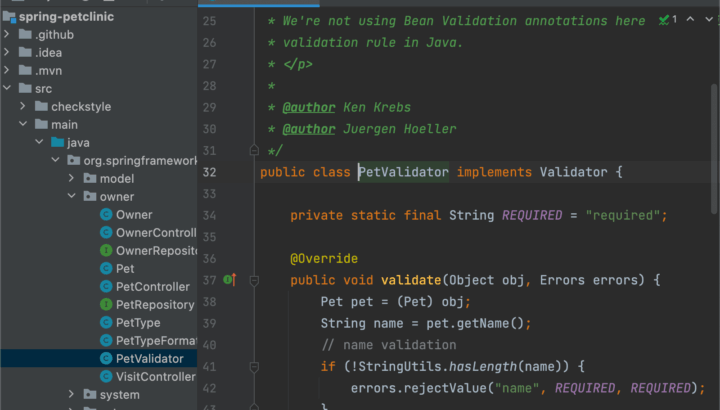 Éditeur de code affichant la classe PetValidator.java d'un projet Spring PetClinic