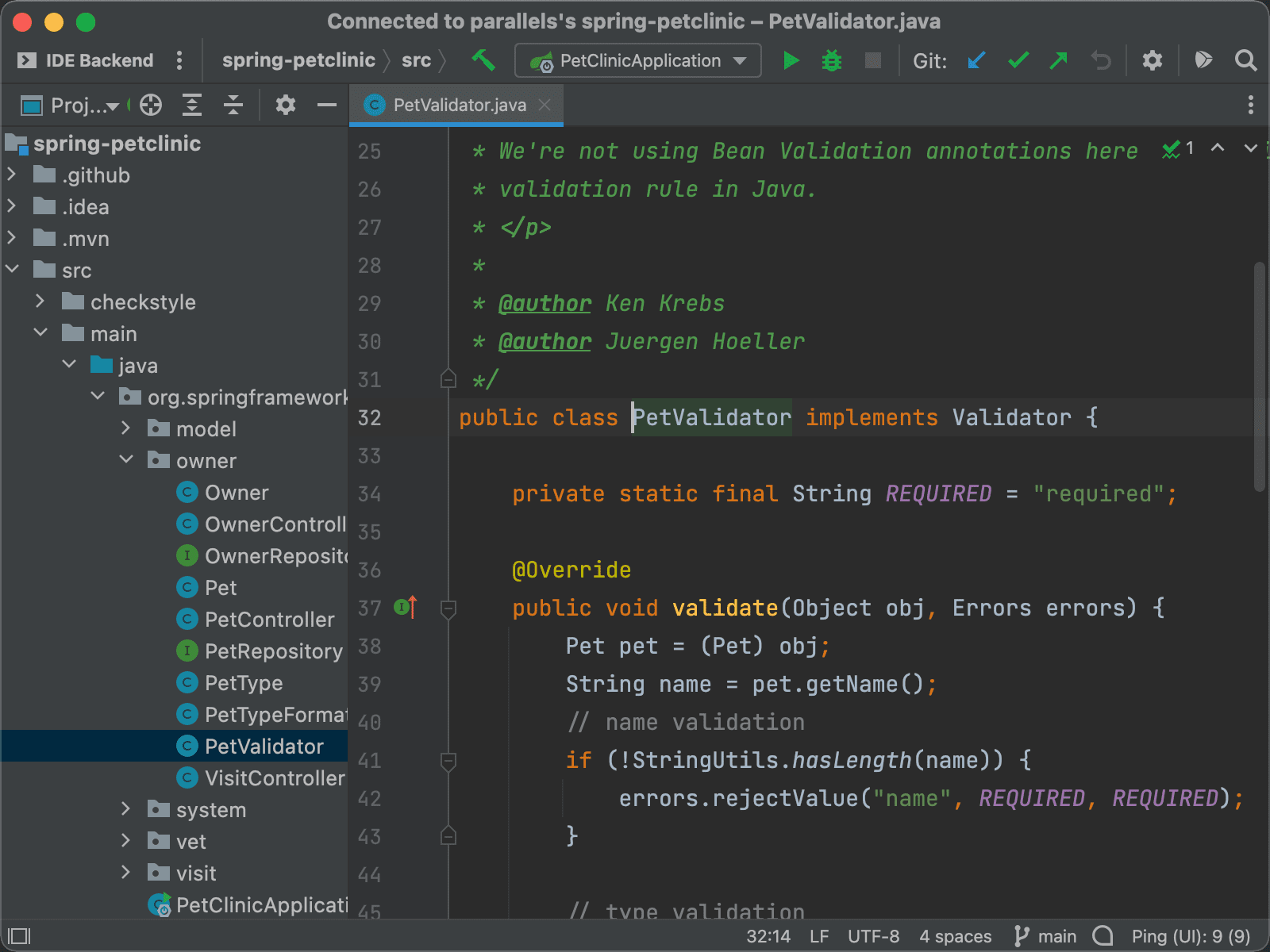 Éditeur de code affichant la classe PetValidator.java d'un projet Spring PetClinic