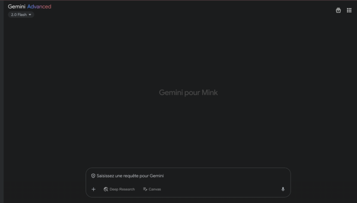 Capture d'écran de l'interface Gemini Advanced en mode sombre, avec la mention "Gemini pour Mink" et un champ de saisie de requête