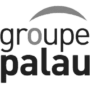 Logo texte "Groupe Palau"