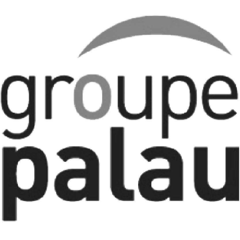 Logo texte "Groupe Palau"