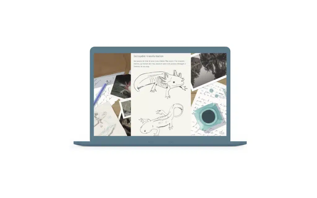 Ordinateur portable affichant une page illustrée sur la transformation de l'axolotl